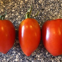 Amish Paste Tomato Seeds Organic Garden Fast Shipping - $6.50