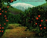 Snow Capped Mountain &amp; Orange Grove California CA Unused UNP Postcard E7 - $5.89