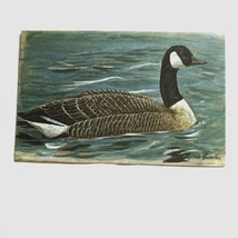 Canada Goose Branta Canadensis Postcard Unposted Cornell University - £3.82 GBP