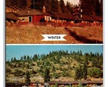Golden Spur Motel Summer &amp; Winter Weed Califronia CA Chrome Postcard S23 - $3.91