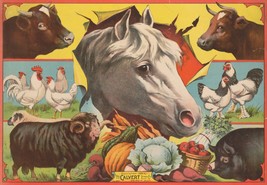 13698.Decor Poster print.Room Wall art design.Farm Animals.Cow.Horse chicken pig - £12.94 GBP+