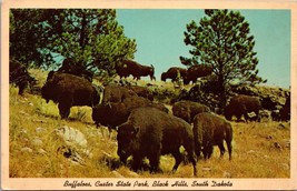 Buffaloes Custer State Park Black Hills South Dakota Postcard PC87 - £3.98 GBP