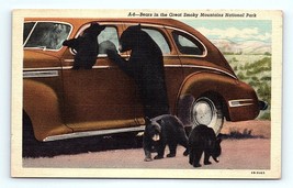 Postcard Great Smokey Mountain National Park Black Bear Cubs Break Into Car 1940 - £4.74 GBP