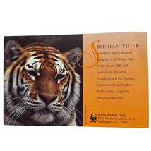Postcard Siberian Tiger Orange Big Cat World Wildlife Fund Chrome Unposted - £5.45 GBP