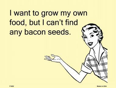 I want to grow my own food E-Card Metal Novelty Parking Sign