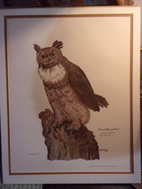 Signed color Drawing Perched Great Horned Owl paper matted, E.D.Williams - £19.86 GBP