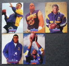 1991 Pro Line Portraits Minnesota Vikings Team Set of 5 Football Cards - £3.93 GBP