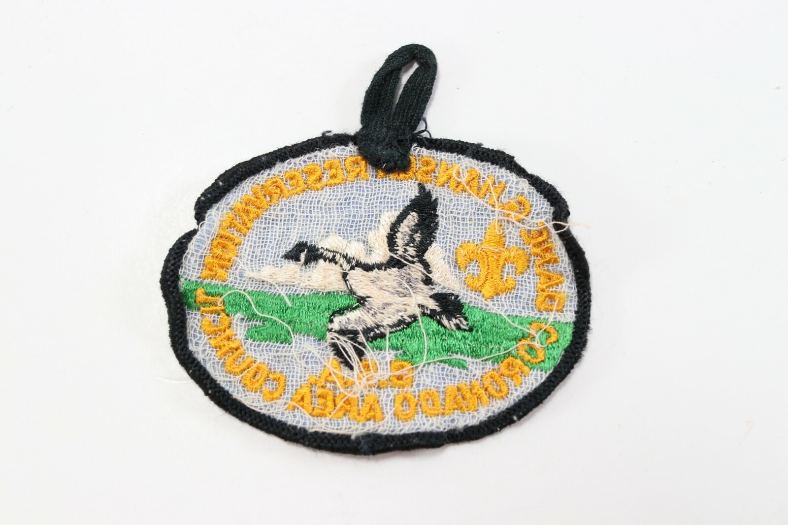 Vintage Dane Hansen Reservation Coronado Area Boy Scouts of America Camp Patch Item image 3