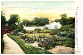 College and Plant House Northampton Massachusetts Postcard Posted 1908 - £11.57 GBP