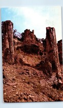 Petrified Tree Stumps Yellowstone National Park Wyoming Postcard Posted 1959 - £4.04 GBP