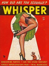 Wall Decor Poster.Interior home.Room art design.Whisper sexy legs show.11629 - $17.82+