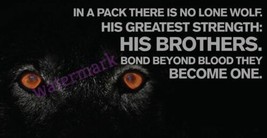 &quot;In A Pack There Is No Lone Wolf. His ...&quot; Motivational Quote Publicity Photo - £6.39 GBP