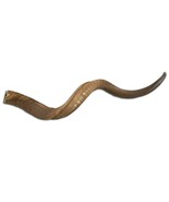 Kudu Horn Natural Large African Antelope Kudu Horn Animal Horn Deer Horn... - $71.28