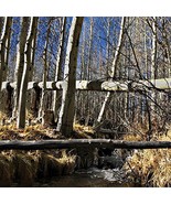 Wild nature 40&quot; x 40&quot; Print On Canvas Painting Wall Art For Wall Décor (... - $33.50 CAD