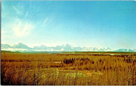 Postcard Alaska Snow Covered Mts. Delta Junction Tanana-Yukon River Valley 5x3.5 - £4.59 GBP