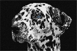 Pepita Needlepoint Canvas: Dalmation Face, 10&quot; x 7&quot; - £40.92 GBP+