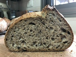 San Francisco live SOURDOUGH STARTER heirloom collection Organic wharf b... - $7.72
