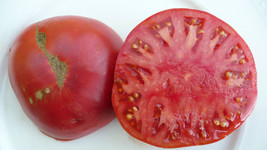 New Fresh 50 Seeds Big Ben Red Tomato Juicy Tomatoe Vegetable Garden - $7.00