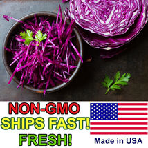Red Cabbage Seeds Non-GMO Fresh Garden Seeds USA 400+  Seeds - £9.11 GBP