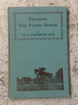 Training The Young Horse 1928 Capt Ellis Photographs Drawings India - $32.68