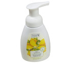 Personal Care Mint Lemon Foaming Hand Soap :8floz/236ml - $8.79