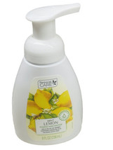 Personal Care Mint Lemon Foaming Hand Soap :8floz/236ml - $8.79