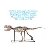 Simulated Tyrannosaurus Rex Skeleton, Dinosaur Fossil Model Statue - B - $36,960.87 MXN
