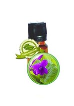 Violet Absolute Oil - 15ml (1/2oz) - 100% Pure Viola odorata - £69.59 GBP