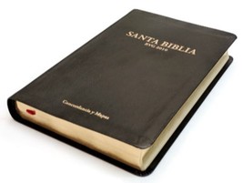 Reina Valera Gómez (RVG) 2010 | Spanish Bible | Center Reference Bonded Leather - £22.39 GBP