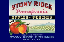 Stony Ridge Pennsylvania Apples and Peaches - Art Print - £17.72 GBP+