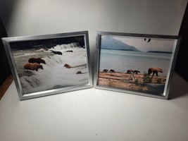 Two Metal Silver Frame Pictures Bears Fishing With Cubs - $5.12