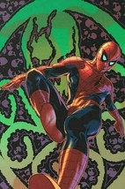 Marvel Comics/Mike Deodato Jr.-&quot;Amazing Spider-Man #524&quot;/LE Giclee/Gall Wrapped  - £271.81 GBP