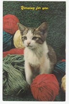 Vintage Postcard Kitten With Yarn Yarning for You Cat 1960&#39;s - £5.44 GBP