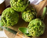 Artichoke Green Globe Seeds Organic US Fast Shipping - €10,48 EUR