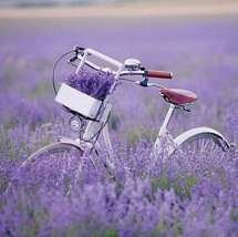 20pcs Decoupage Napkins, 33x33cm, Bicycle in Lavender Field, Lavender an... - £6.42 GBP
