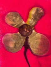 Tonito Original ACEO painting on CANVAS.Unique art.Flower 16.VIDEO of the making - £15.22 GBP