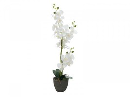 EUROPALMS Orchid, Artifical Plant, White, 31 1/2in - £27.34 GBP