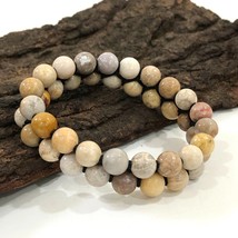 Natural Fossil Coral Gemstone 8 mm beads 7.5&quot; Inches Stretch Bracelet 2SB-10 - £10.63 GBP