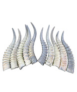 Blesbok Horn, 1 African Antelope Horn Size Approx. 14&quot;, 1 buck horn, 1 d... - $29.69