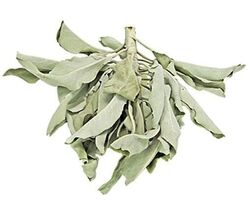 Loose California White Sage Leaves &amp; Clusters! - $3.91