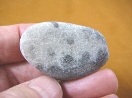 (F831-209) 1-3/4" unpolished Petoskey stone ANCIENT coral specimen MI st... - $15.99