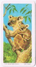 Brooke Bond Red Rose Tea Card #4 Koala Bear Animals &amp; Their Young - $0.98