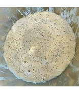 SOURDOUGH STARTER yeast FRONTIER 100 YR old VERY STRONG/ACTIVE extra sou... - $7.72