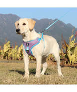 Breathable Adjustable Pet Harness with Leash - $17.99