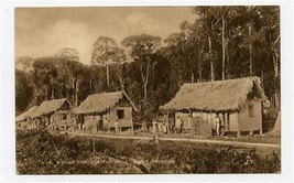 Road Through the Mora Forests Postcard Trinidad  - £14.03 GBP