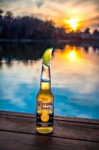 Corona Extra Light Imported Beer Advertising Metal  Sign 8x12in  Coors 45 - $34.72 CAD