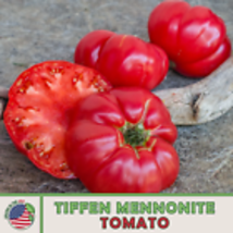 Tiffen Mennonite Tomato Seeds, Heirloom, Non-GMO, Genuine USA 10  Seeds - £8.89 GBP