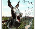 Donkey Laughing Waiting for A Tenderfoot DB Postcard Z5 - $2.92