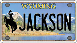 Jackson Wyoming Novelty Mini Metal License Plate Tag - €12,87 EUR Jackson Wyoming Novelty Mini Metal License Plate Tag - €12,87 EUR