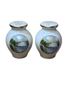 Niagara Falls Salt and Pepper Shakers Souvenir Made In Germany - $4.19